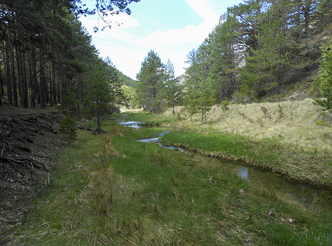 Cañón Río Blanco - Calomarde - Sierra de Albarracin