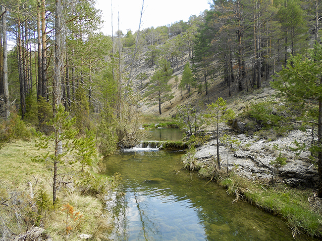 Río Blanco - Barranco de la Hoz