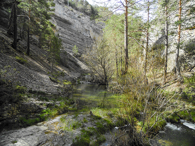 Cañón Río Blanco - Calomarde - Sierra de Albarracin