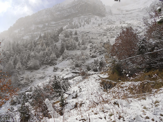 Nevada en el Borreguil de la Cuca 