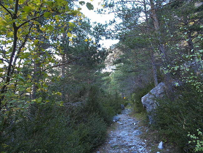 Camino del Turieto Bajo entre Torla y Ordesa