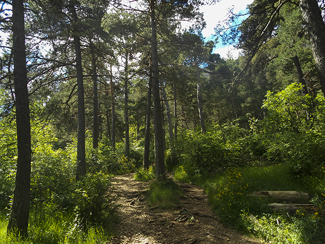 Sendero Peña Oroel - Jaca