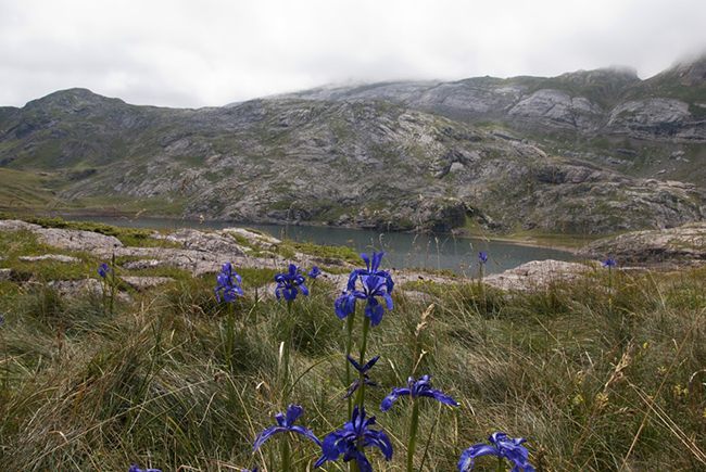 Ibón de Estanes 