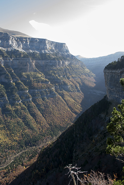 Valle del río Arazas