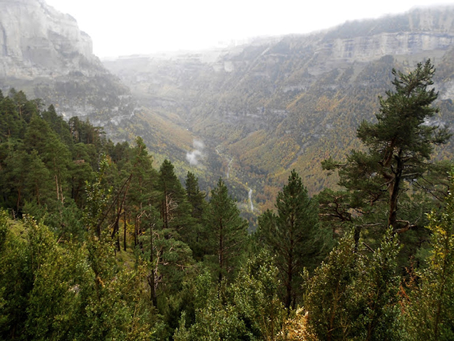 Fondo del Valle de Ordesa - río Arazas