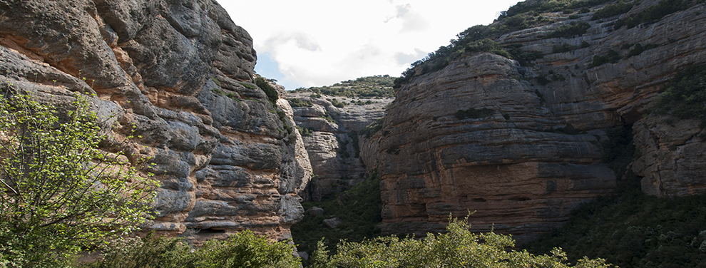 Gorgas de San Julián - Comarca de la Hoya de Huesca