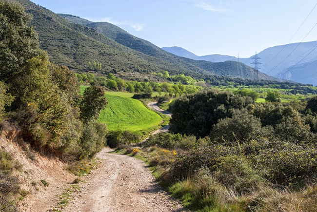 Pista Gorgas de San Julián 