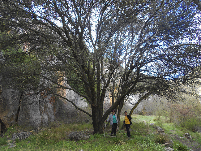 Hoces del rio Piedra - Aldehuela de liestos