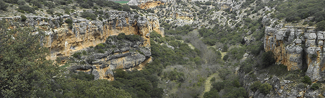 Circular Hoces del río Piedra