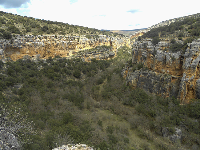 Hoces del rio Piedra desde el Mirador de las hoces