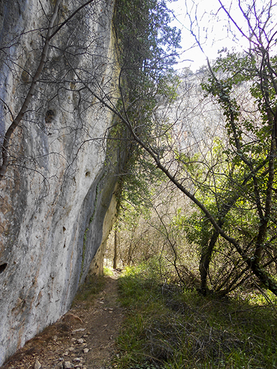 Hoces del rio Piedra - Comarca Campo de Daroca