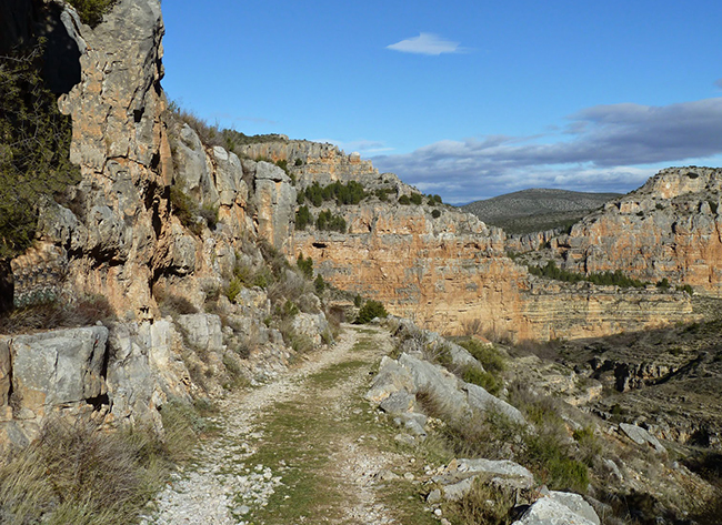 Baranco de los Hocinos antes de llegar a Calmarza