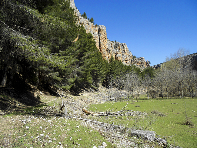 Hoces del río Mesa - Calmarza