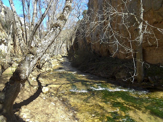 Hoces del río Mesa - Calmarza