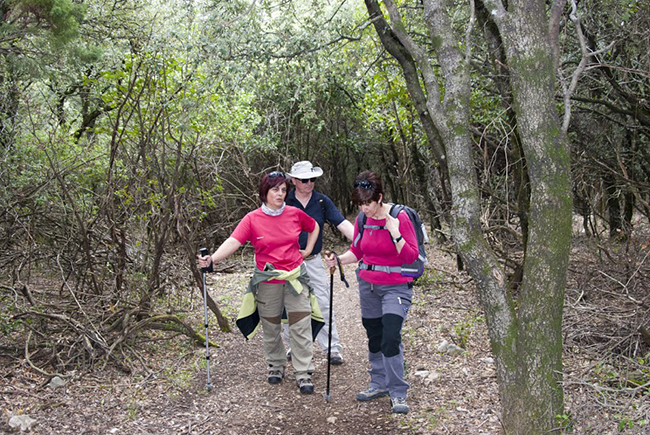 Bosque plano ,Huevo de San Cosme