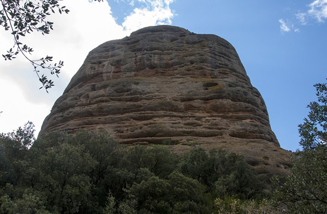 Huevo de San Cosme