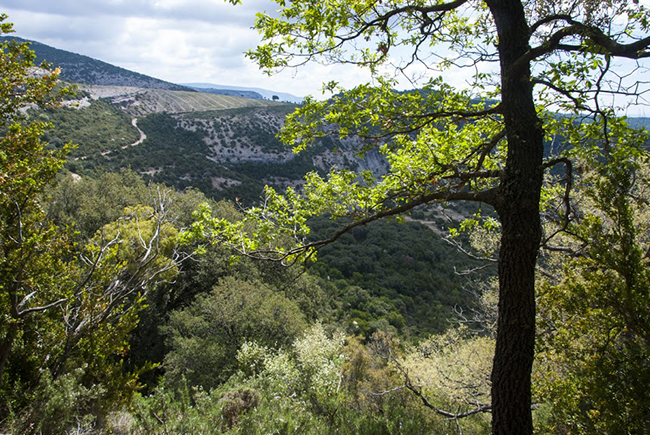 Vistas sierra de Guara Sierra y cañones de Guara