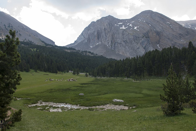 Pradera del Ibón de Plan