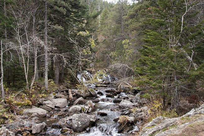 Barranco de la Aigueta