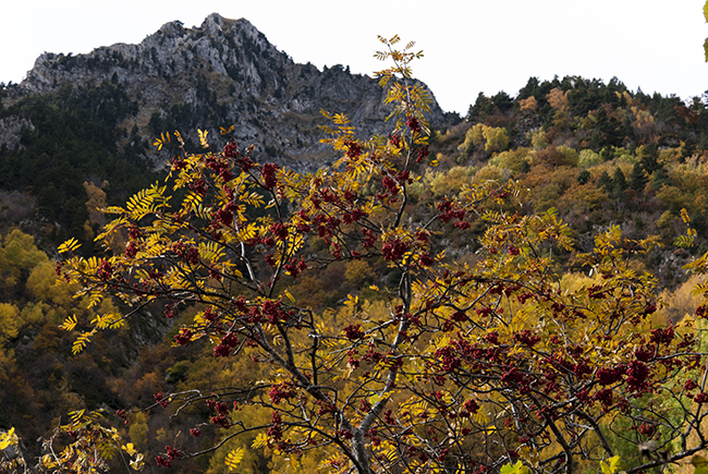 Otoño - Ibonet de Batisielles