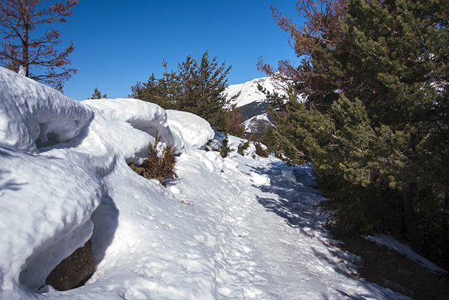 Gran cantidad de nieve para la práctica de raqueta