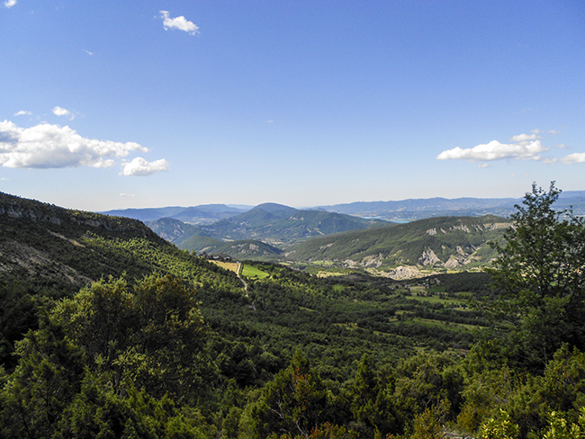 Bosque en la subida a Peña Montañesa