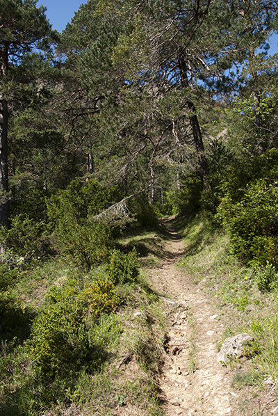 Barranco de la Carbonera - Subida al Pico Cúculo