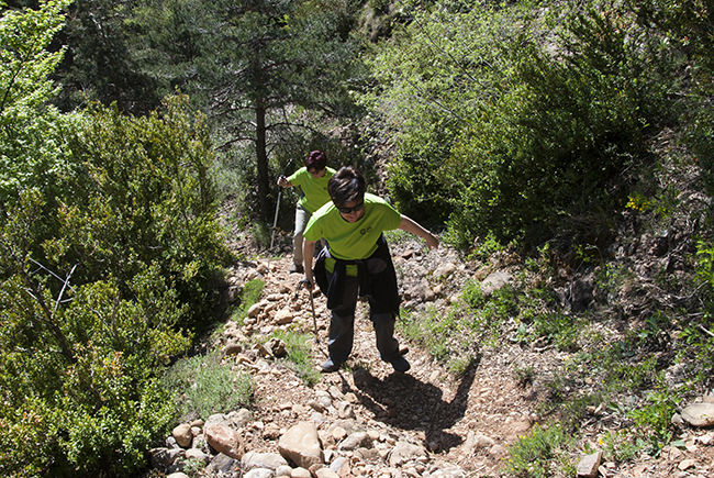 Pico Cúculo