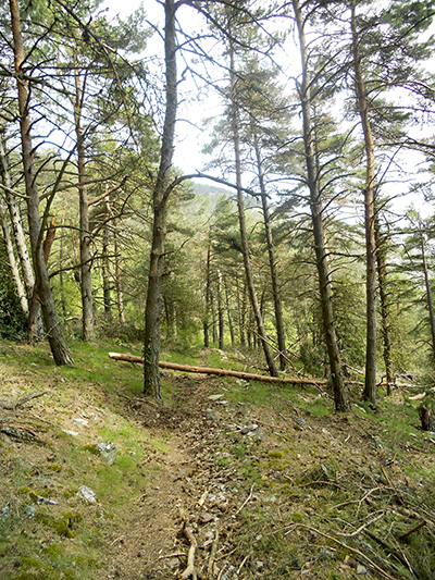 Pico del Rayo en la Sierra Vicor