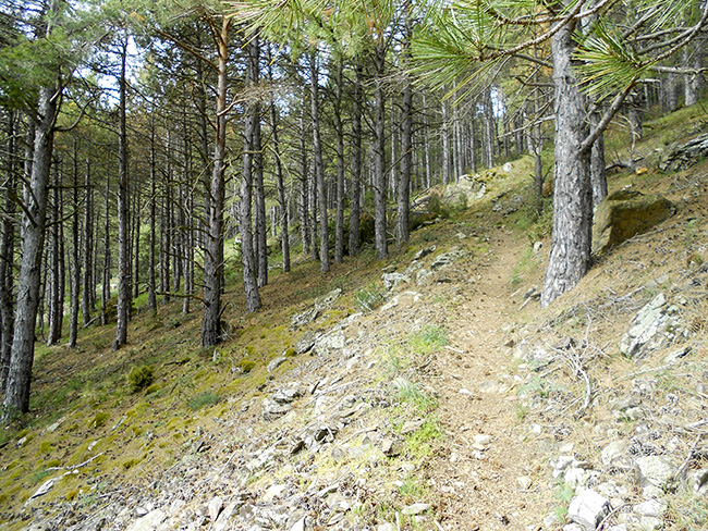 Pico del Rayo en la Sierra Vicor