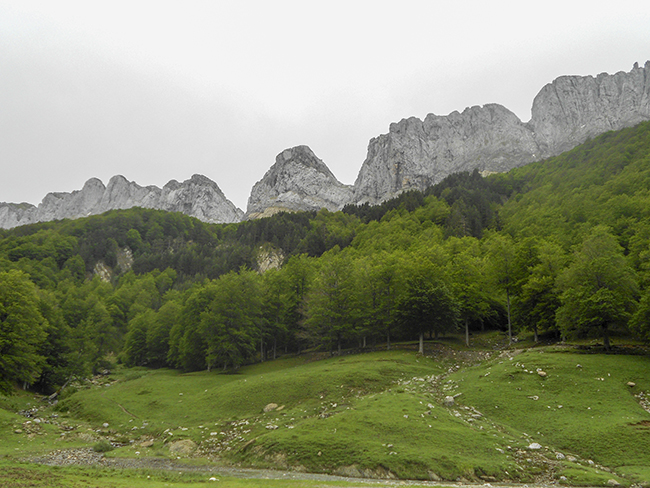 Sierra de Alanos - Zuriza