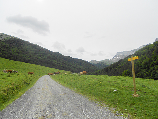 Valle de Zuriza, Tachera, Estribiella