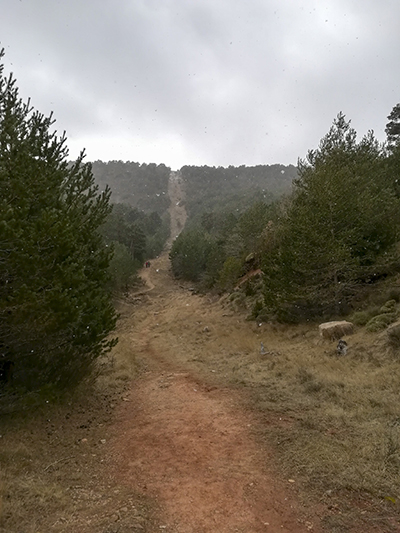 Cima Pico Gratal gasoducto