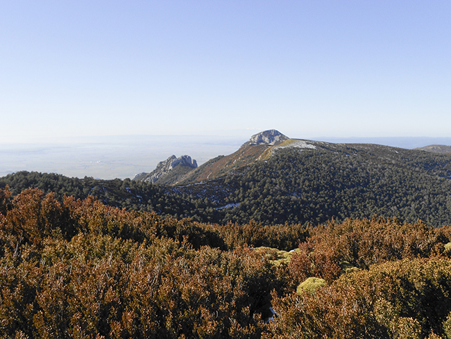 Pico la Calma - Pico Gratal