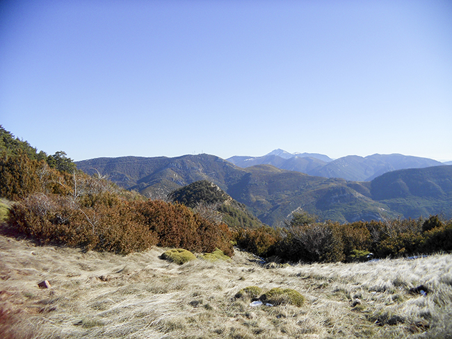 Pradera de las Calmas