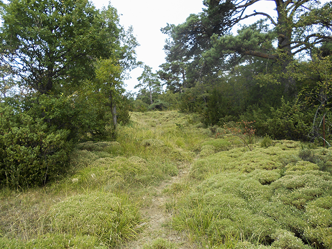 Pico Mesola - Aragües del Puerto