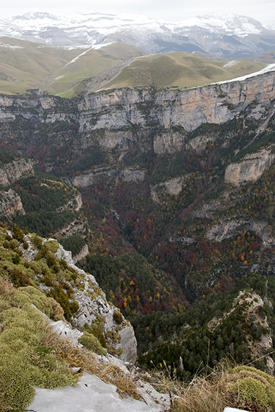 Cañon de Añisclo desde el Pico Mondoto