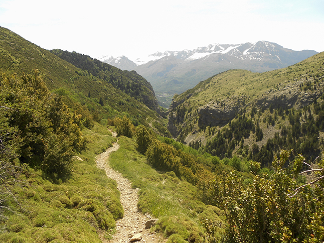 Valle del rio Escarra