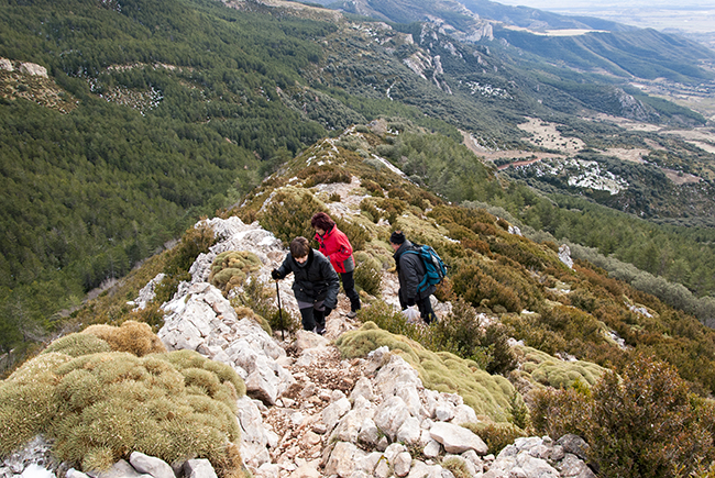 Crestas ascenso al Pico Pusilibro