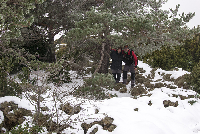 Nieve en la cima del Pico Pusilibro