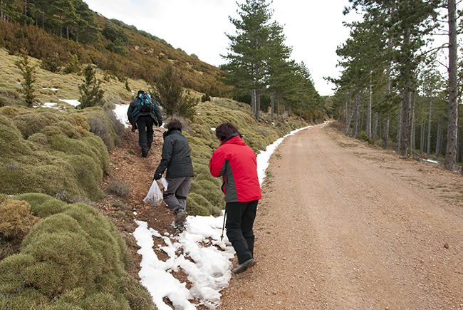 Crestas ascenso al Pico Pusilibro