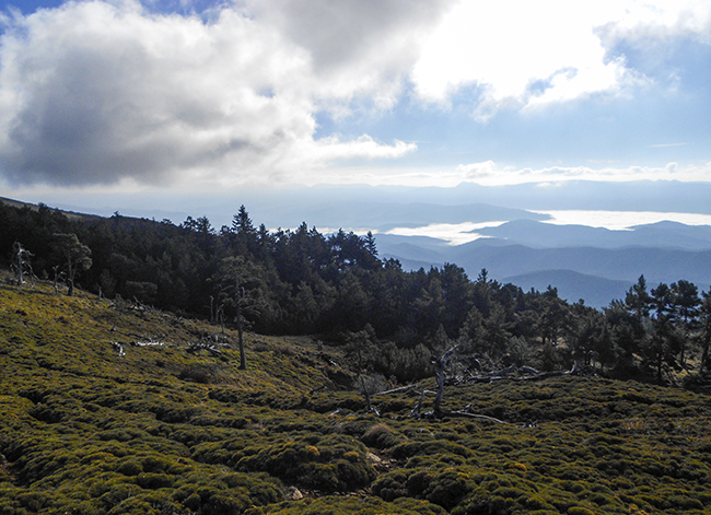 Cresteando por la Sierra de Oroel - Punta Bacials