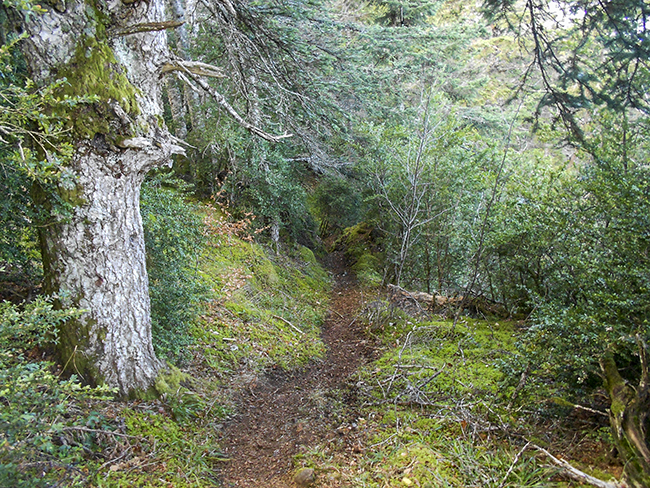 Sendero de los Lobos  - Sierra de Oroel