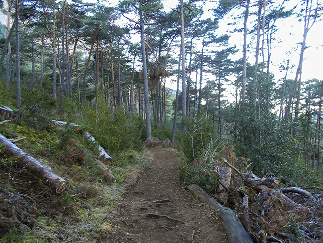 Sendero S7 Cruz de Oroel y Virgen de la Cueva - Punta Bacials