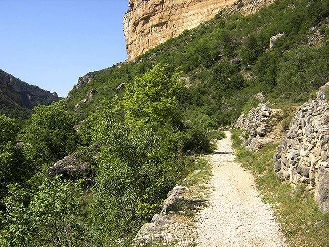 sendero-rio-pitarque