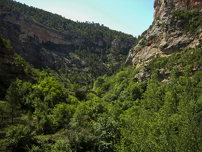 Cañón río Pitarque Cañón Río Pitarque