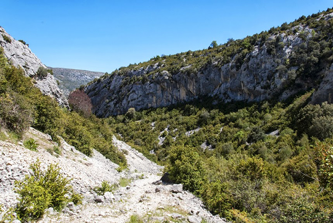 Barranco de Andrebot - Rodellar