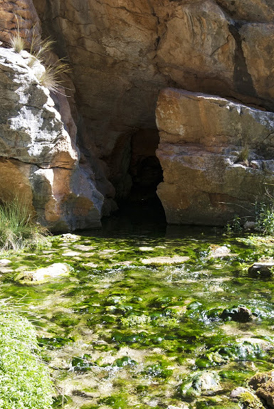 Surgencia del río Mascún