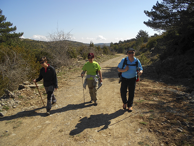 Tramo de pista en la Sierra de Bonés - Guara