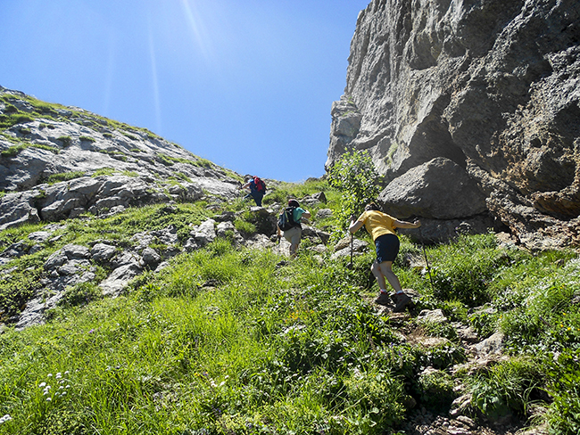 Valle de los Sarrios - Valle del Aragón